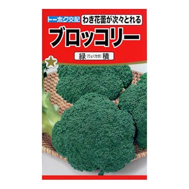 トーホク F1 ブロッコリー 緑積