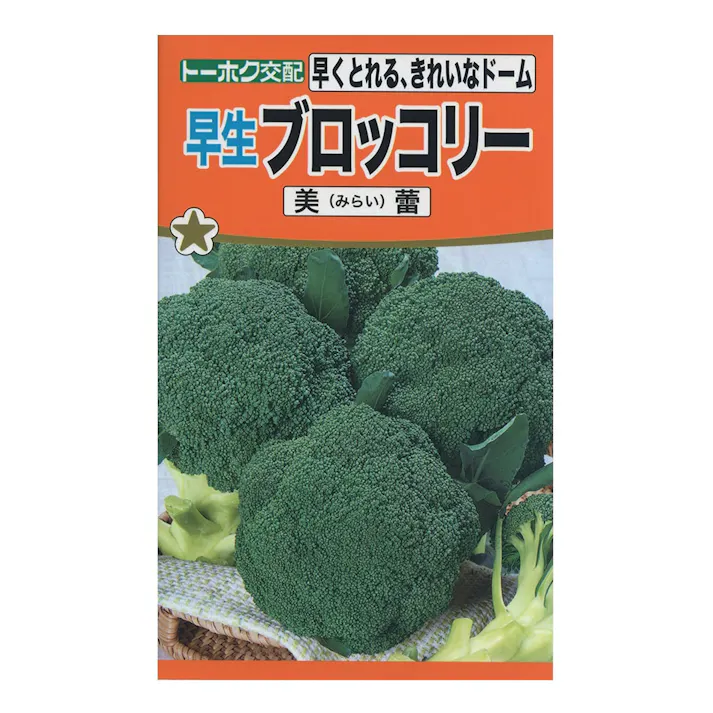 ブロッコリー美蕾