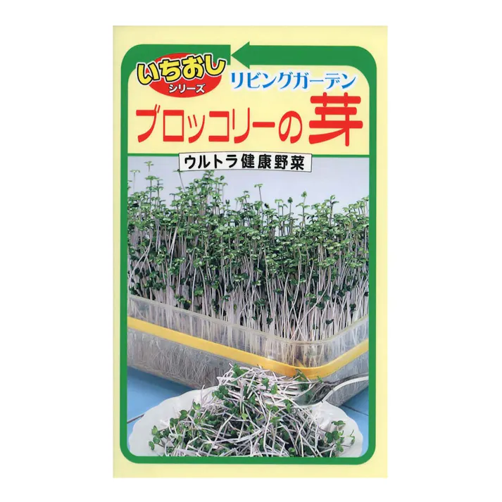 ブロッコリーの芽