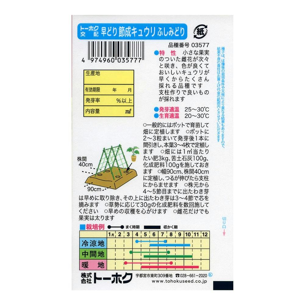 きゅうり きゅうり(宮崎県産 矢野さん他)|有機野菜 通販 Oisix