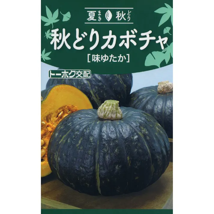 F1 秋どりカボチャ 味ゆたか