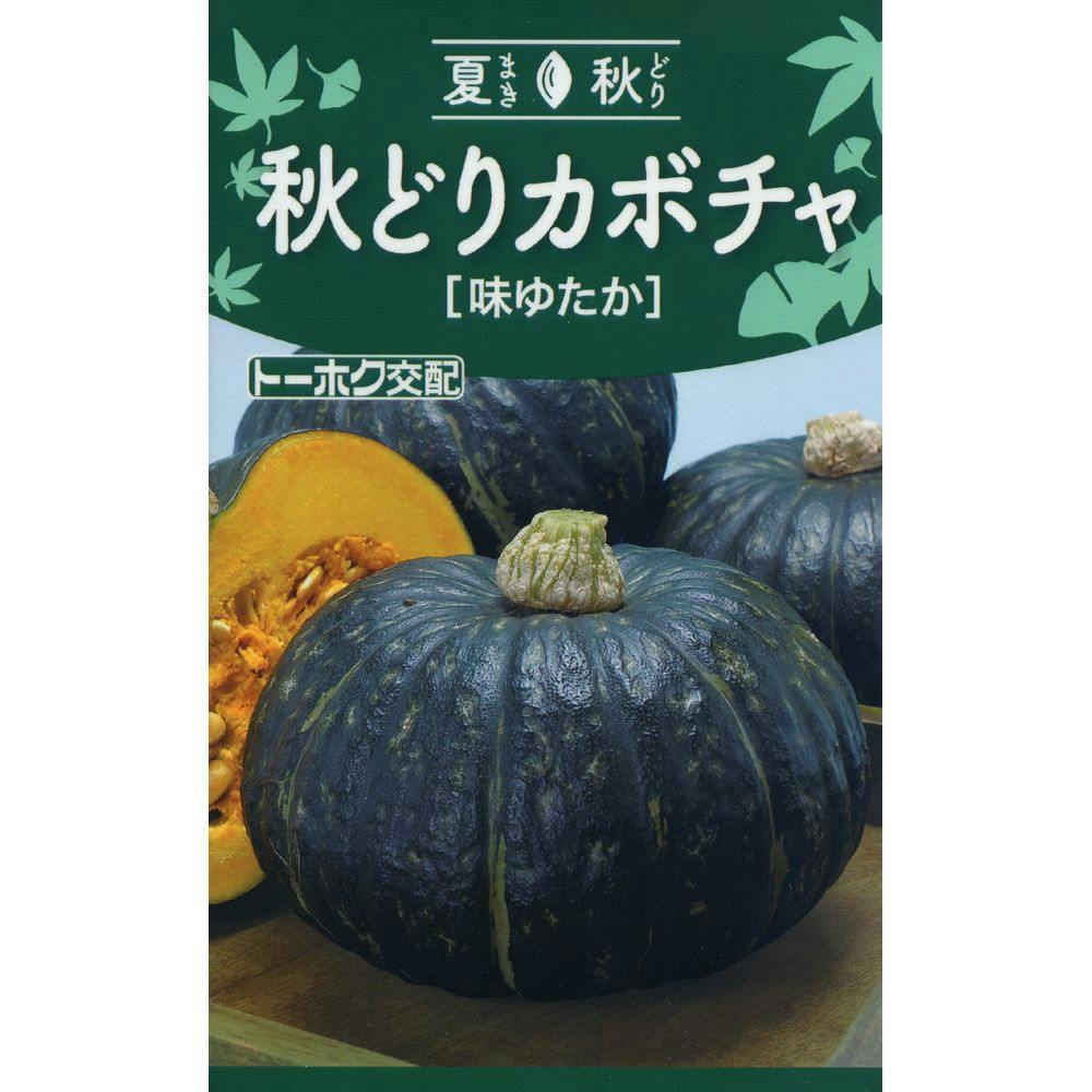 F1 秋どりカボチャ 味ゆたか | 花＆グリーン 通販 | ホームセンターの