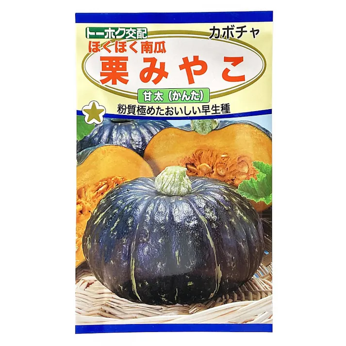 F1 ほくほく南瓜 栗みやこ 甘太