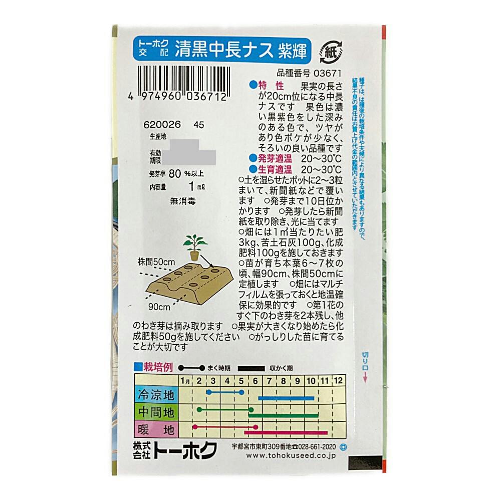 F1清黒中長ナス 紫輝 | 花＆グリーン 通販 | ホームセンターのカインズ