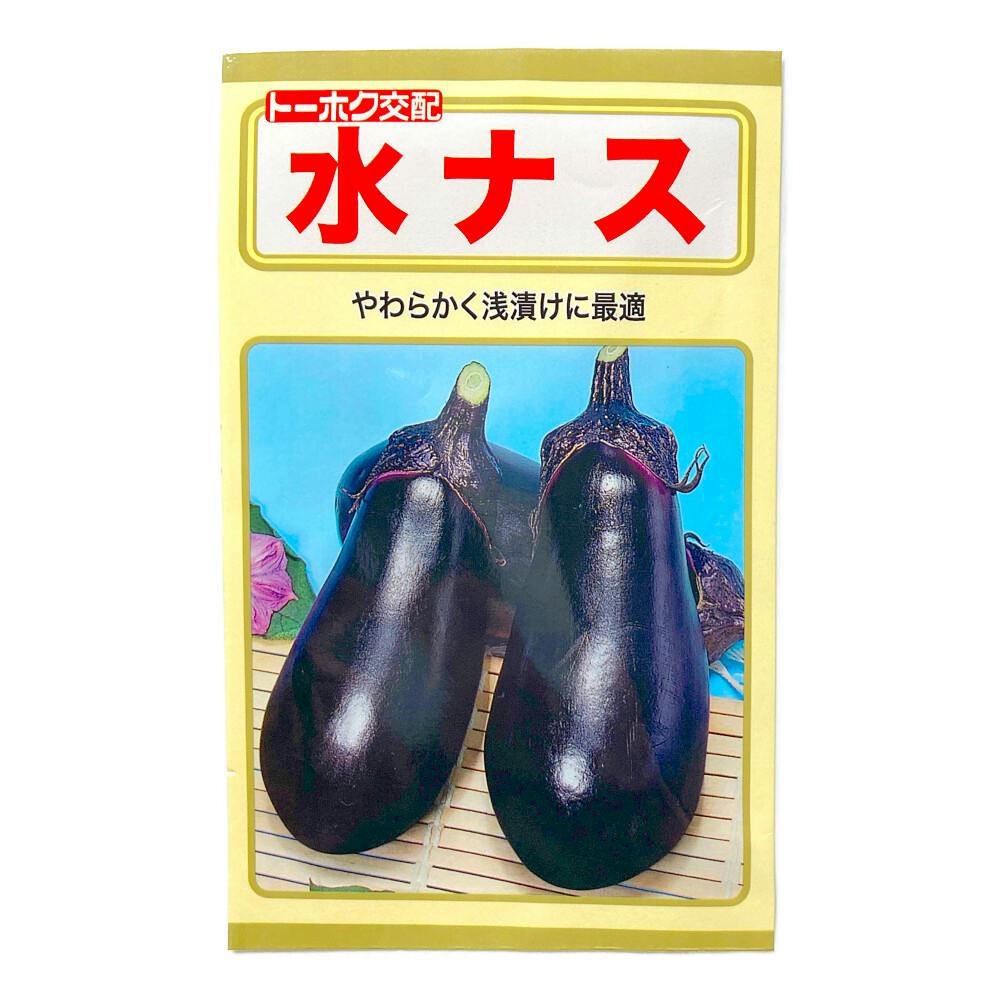 F1 早太りにんじん 紅輝(販売終了) | 花＆グリーン 通販