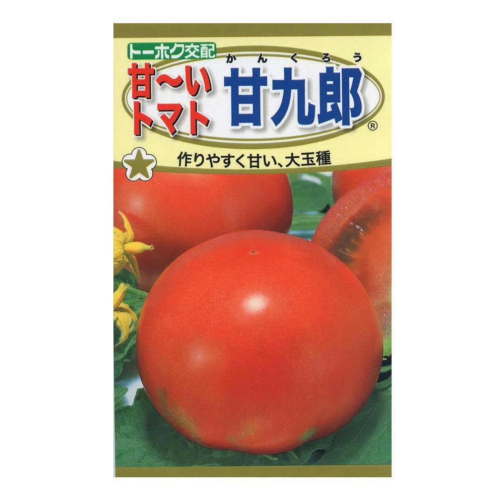 小豆です 小豆大納言(販売終了) | 花＆グリーン 通販 | ホームセンターの