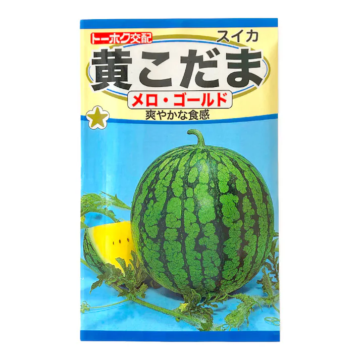 スイカ F1黄こだま メロゴールド