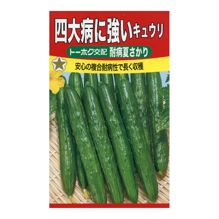 F1 四大病に強いキュウリ 耐病夏さかり