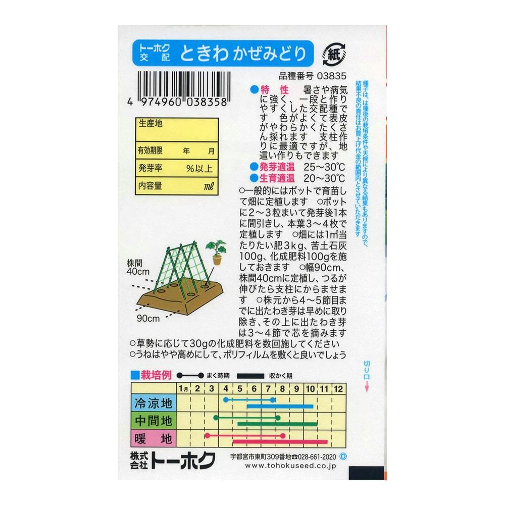 F1 ときわ かぜみどり | 花＆グリーン 通販 | ホームセンターの