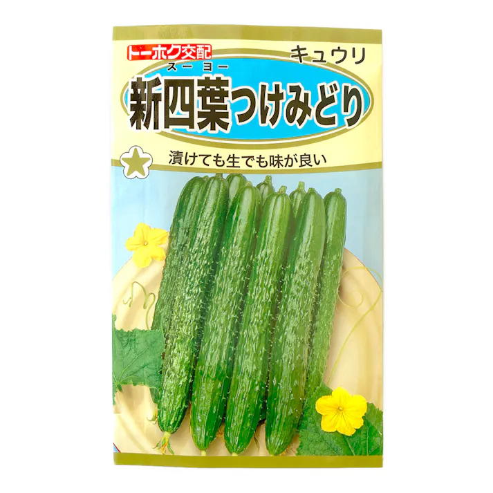 キュウリ F1新四葉つけみどり