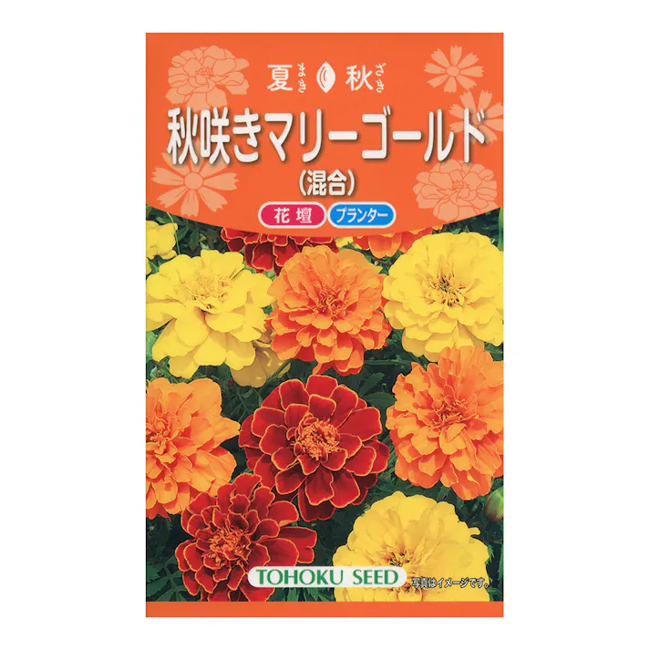 秋咲きマリーゴールド混合