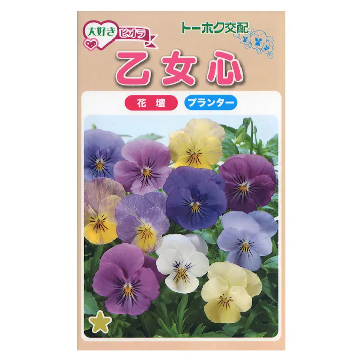 F1 大好きビオラ乙女心(販売終了)