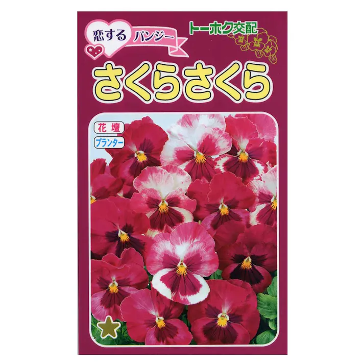 恋するパンジー さくらさくら