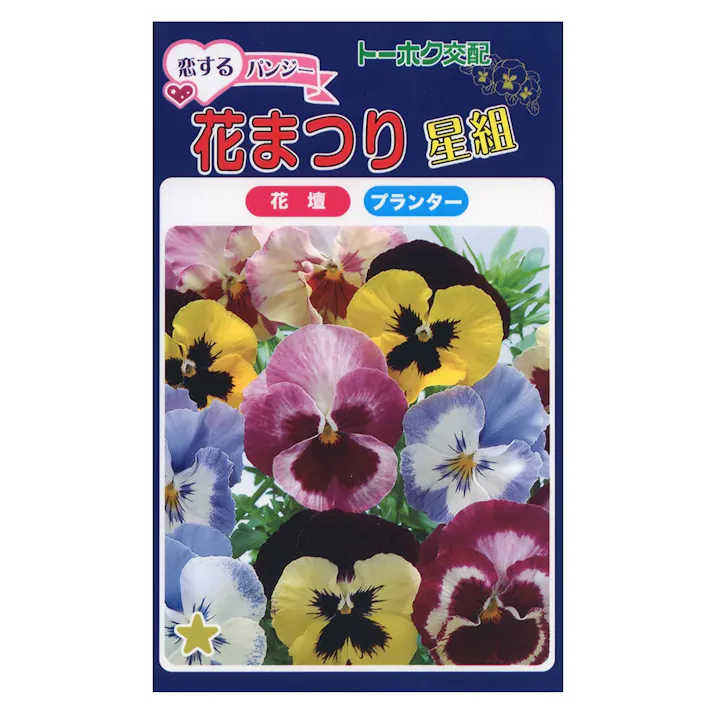 F1 恋するパンジー花まつり(星組)