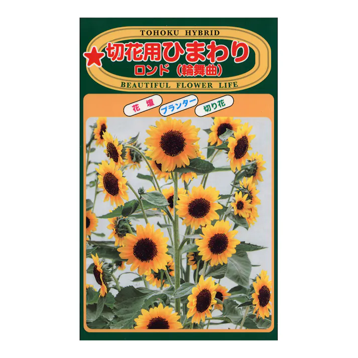 F1ひまわり ロンド