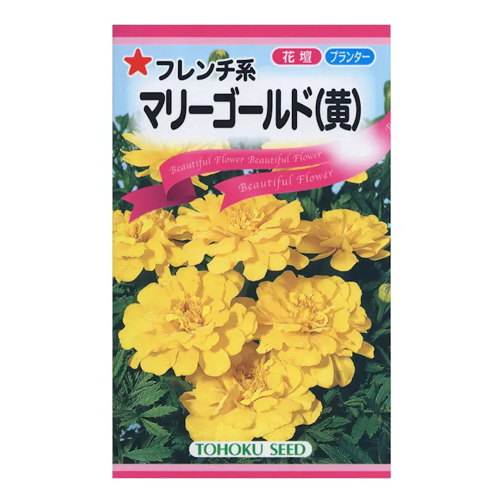 マリーゴールド 黄 TO(販売終了)