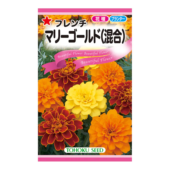 フレンチマリーゴールド混合