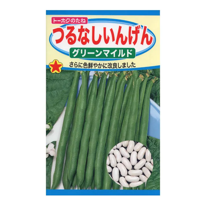 つるなしいんげん グリーンマイルド