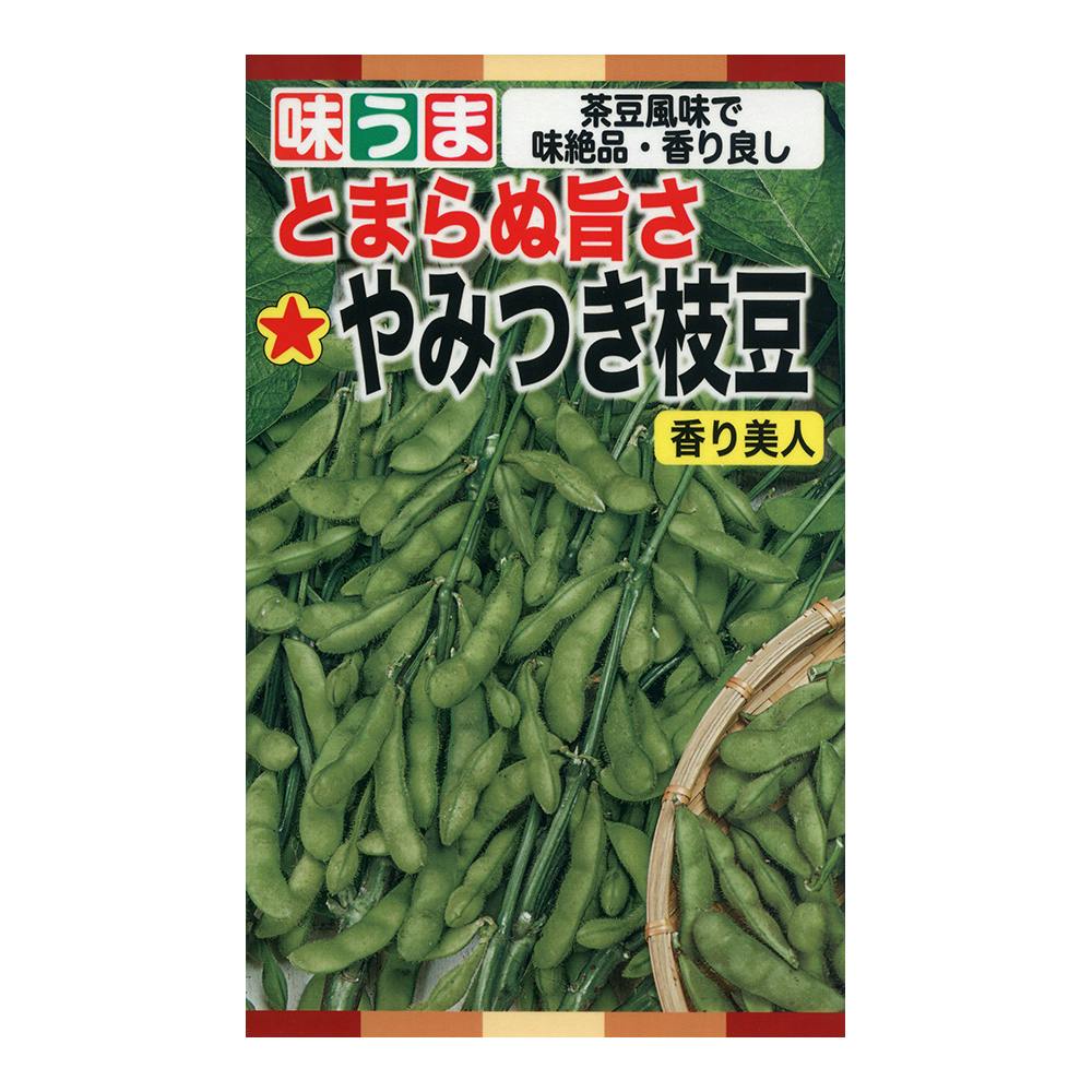 大粒枝豆 おおすずみ | 花＆グリーン 通販 | ホームセンターの