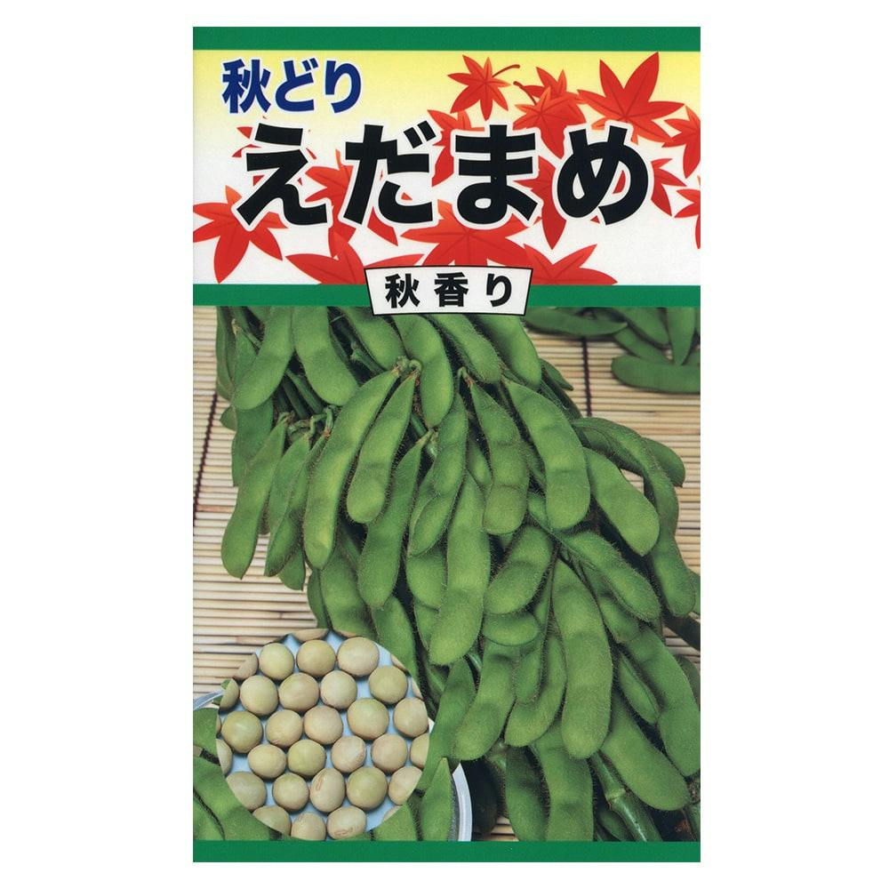 秋どりえだまめ 秋香り | 花＆グリーン 通販 | ホームセンターの