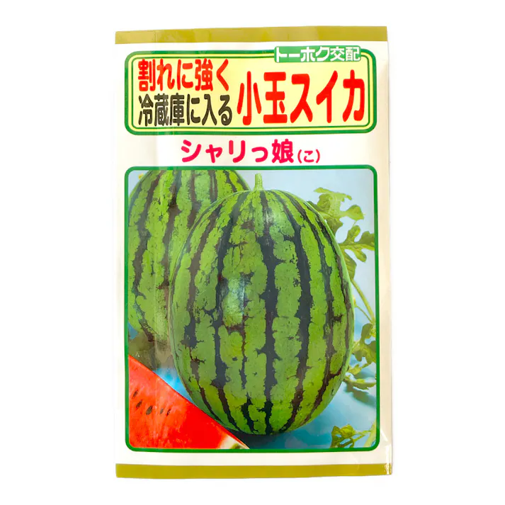 小玉スイカ F1シャリっ娘