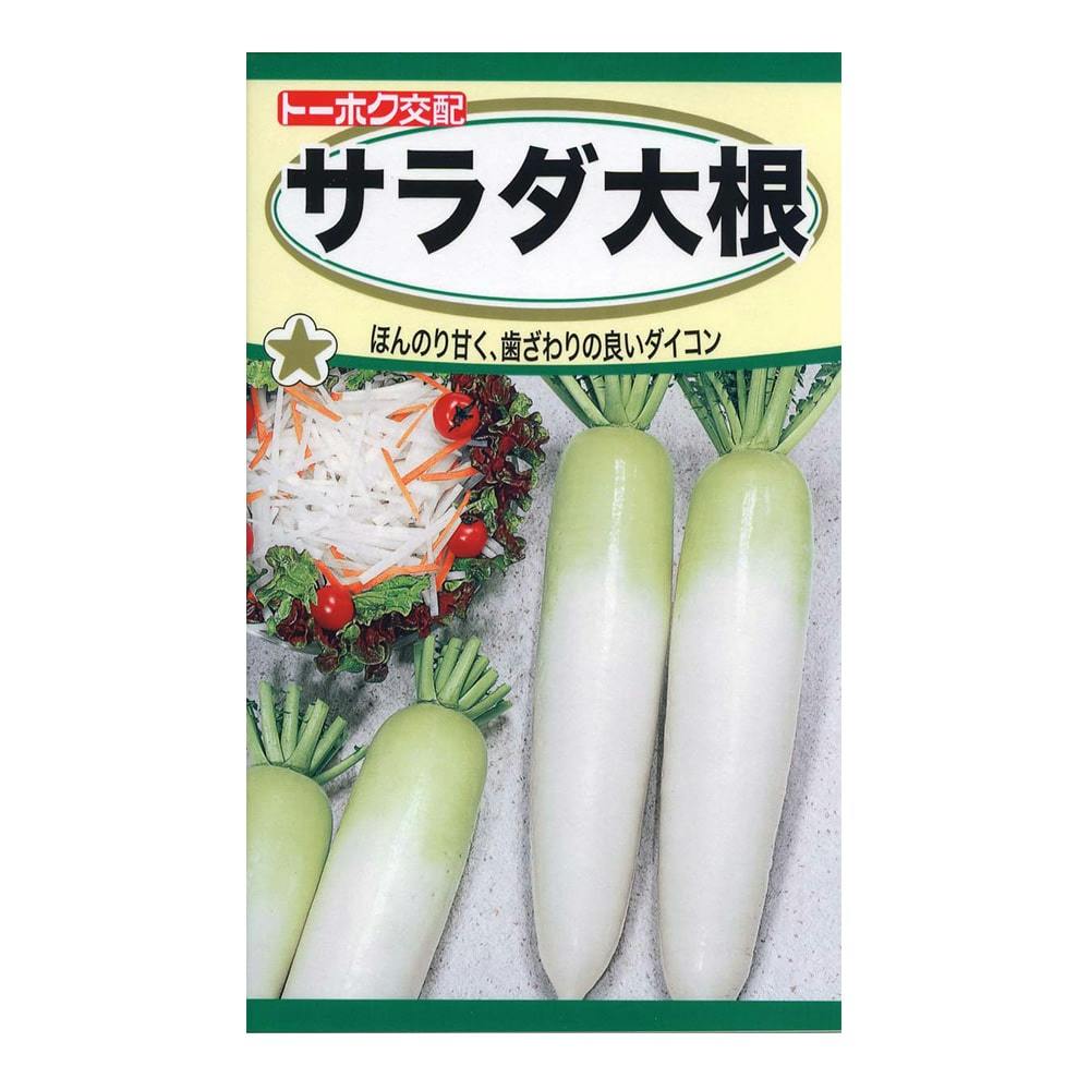 大根のえ 大根｜みなとの野菜大辞典