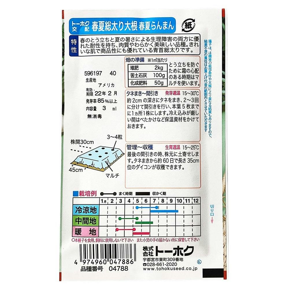 春自慢 春どり青首総太大根(販売終了) | 花＆グリーン 通販