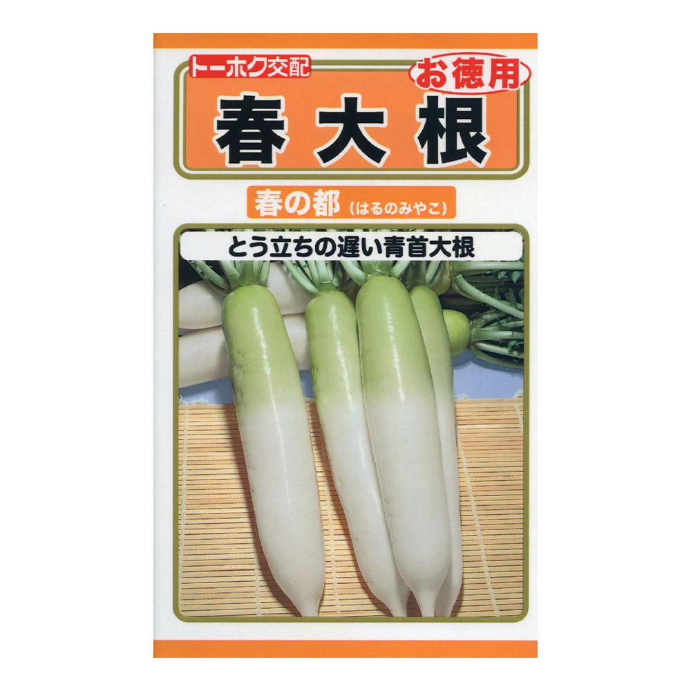 F1 病気に強い青首大根 秋の彩 (徳用袋) | 花＆グリーン 通販