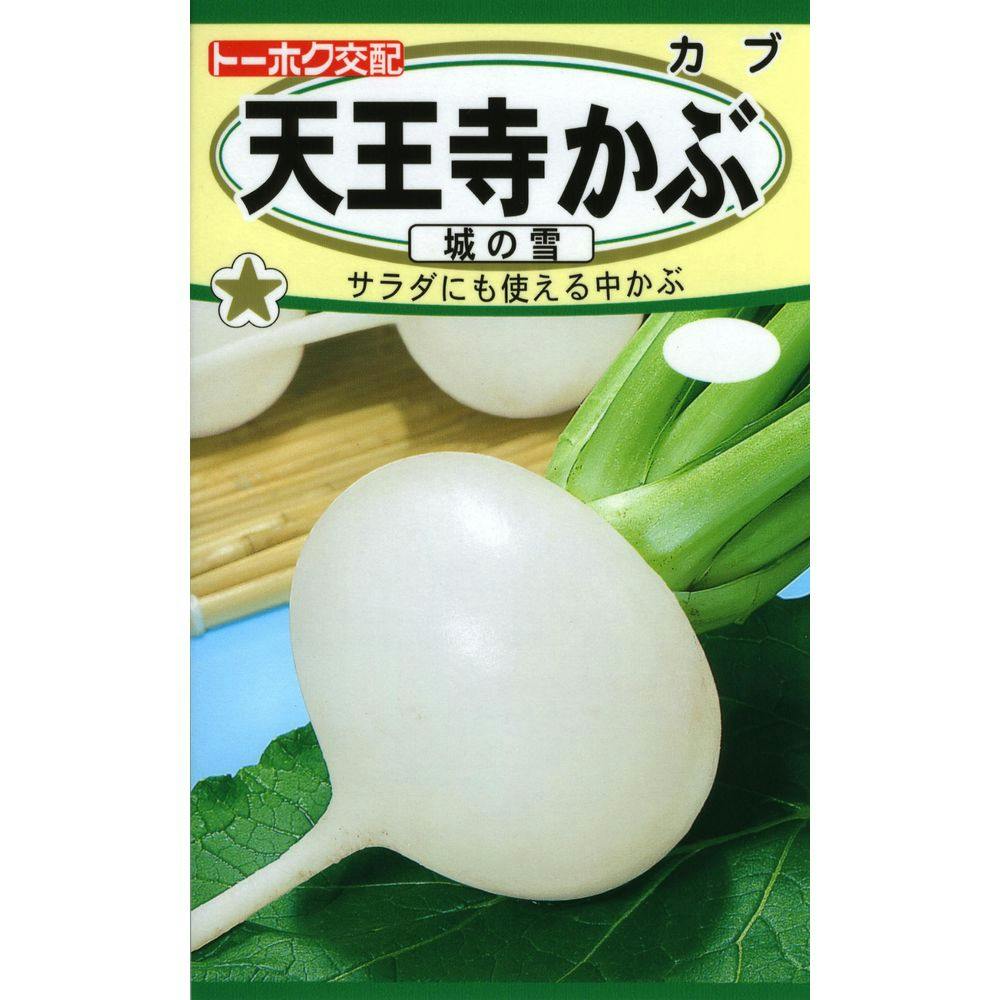 F1 天王寺かぶ 城の雪