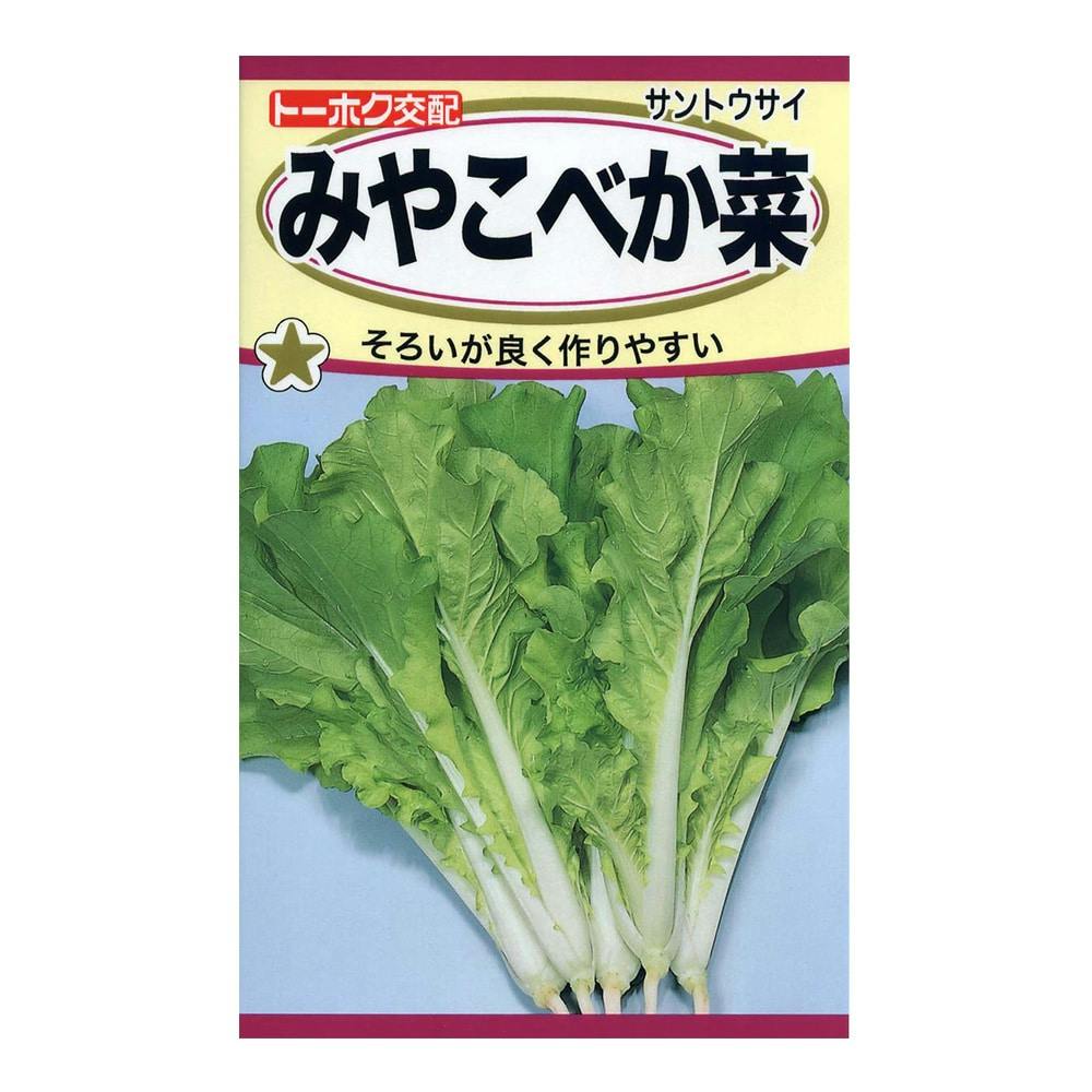 F1 みやこべかな