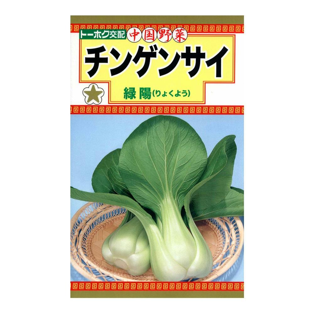 F1 チンゲンサイ 緑陽