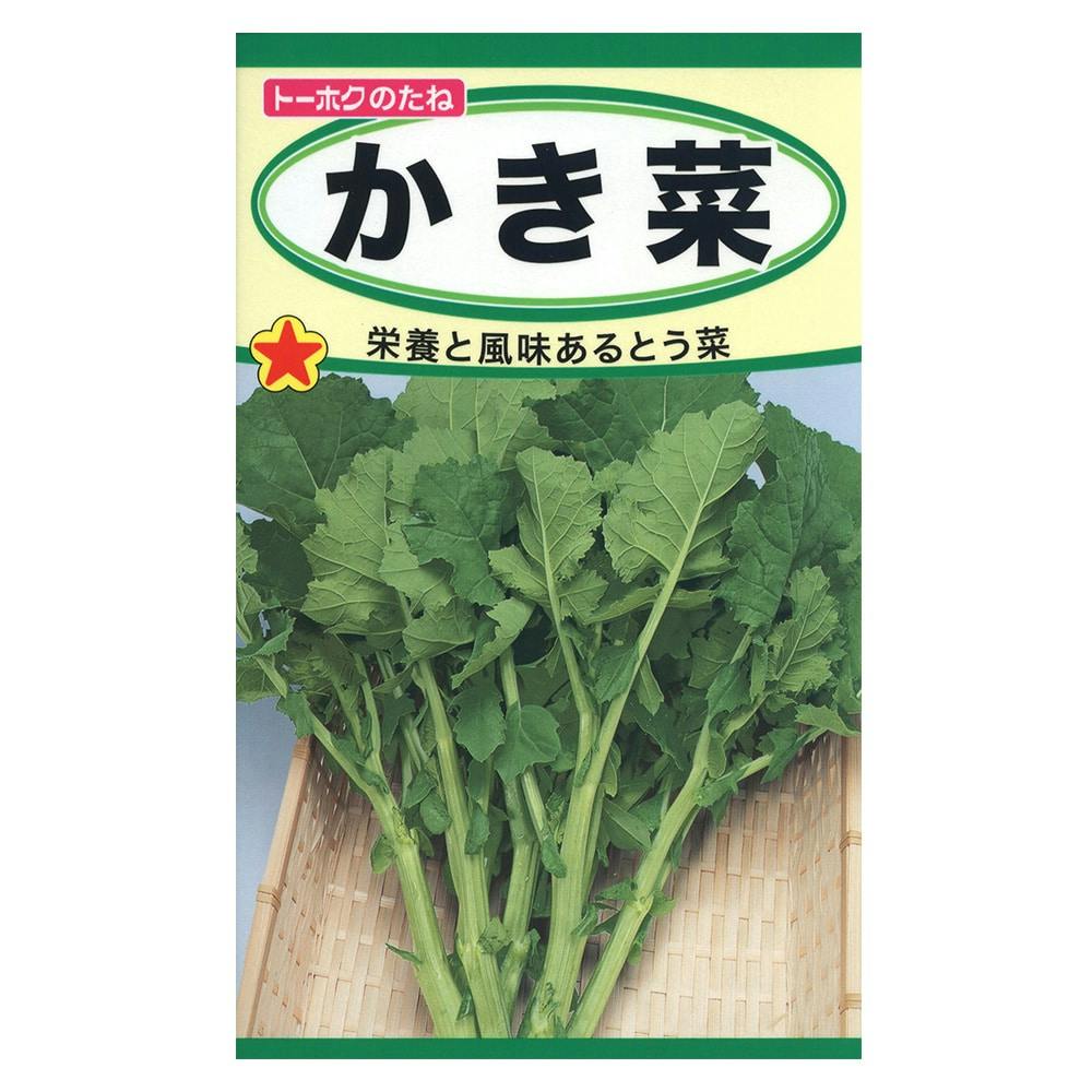 そらまめ 4974960063275_01.jpg