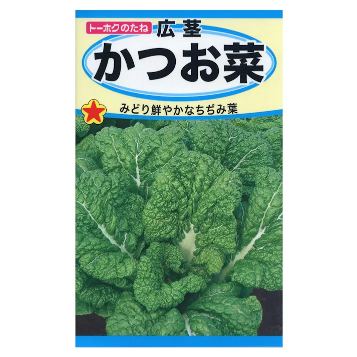 広茎かつお菜(販売終了)
