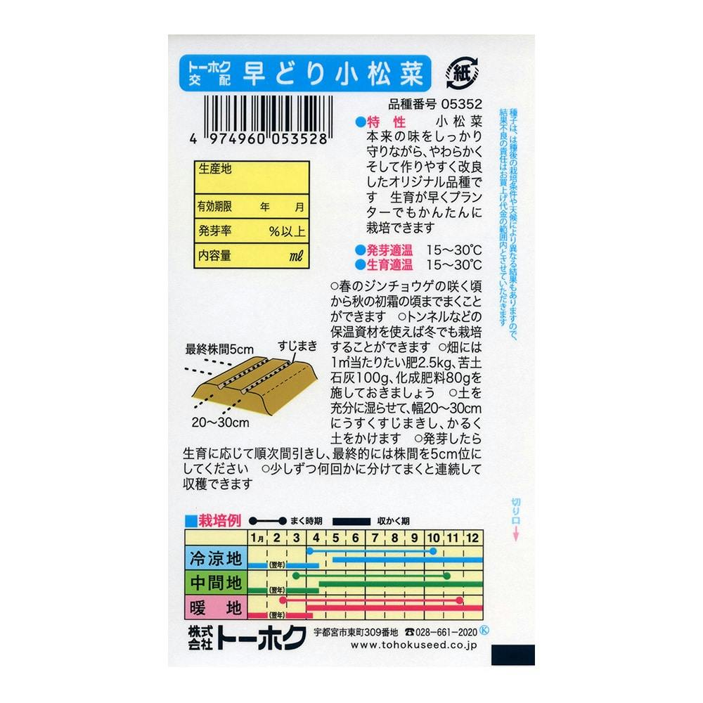 F1 早どり小松菜 | 花＆グリーン 通販 | ホームセンターのカインズ