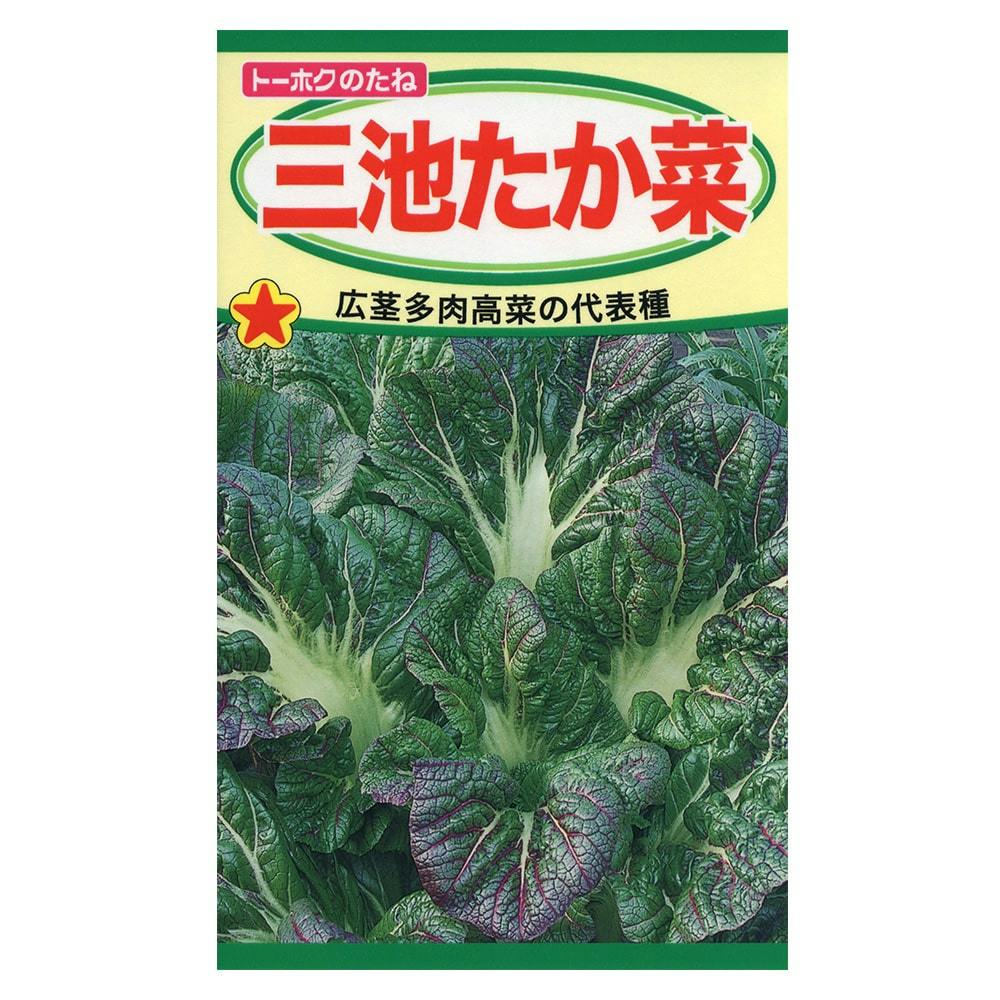 高評価のクリスマスプレゼント 花＆グリーン | 三池たか菜 通販 ホームセンターのカインズ | 野菜