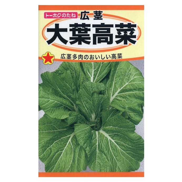 店舗限定 トーホク 広茎大葉高菜 ホームセンター通販 カインズ