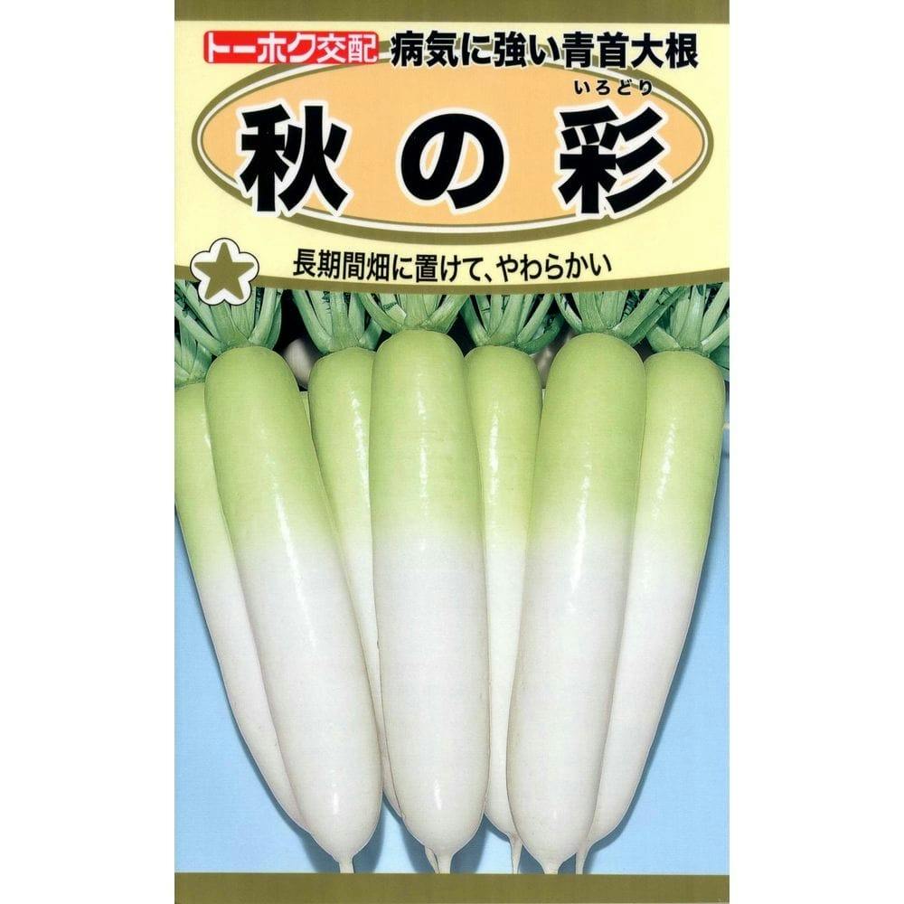 F1 病気に強い青首大根 秋の彩 | 花＆グリーン 通販 | ホームセンター