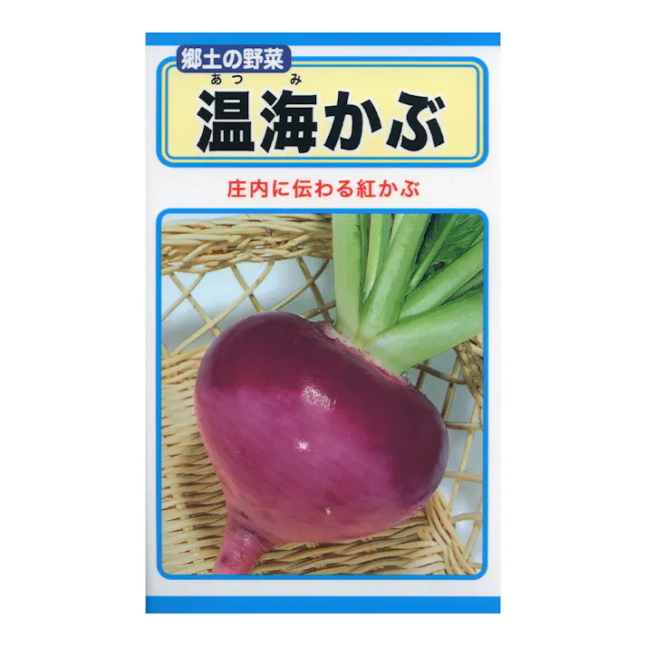 温海かぶ