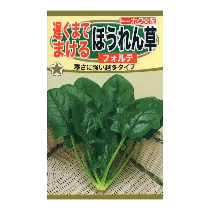 遅くまでまける ほうれん草 フォルテ