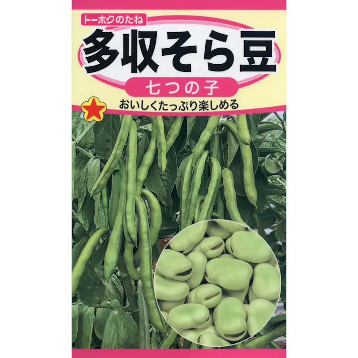 多収そら豆 七つの子