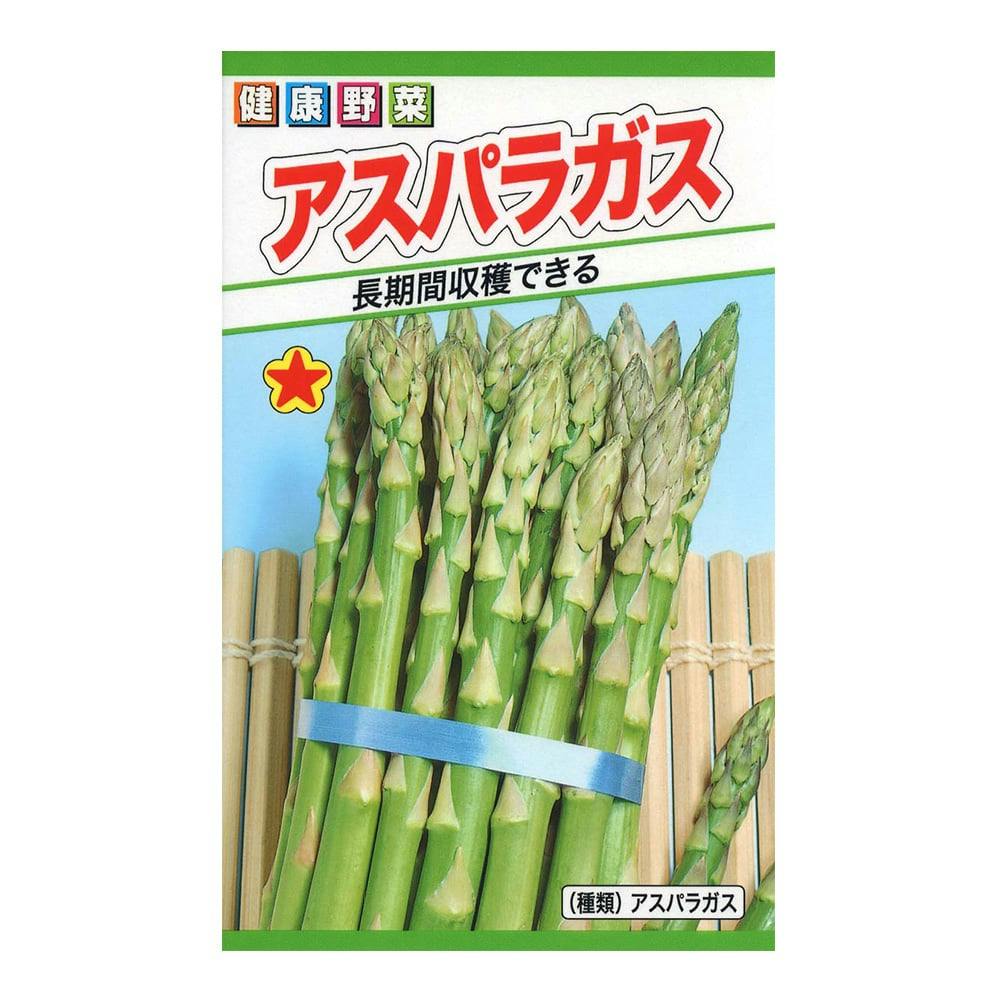 アスパラガス(販売終了) | 花＆グリーン 通販 | ホームセンターのカインズ