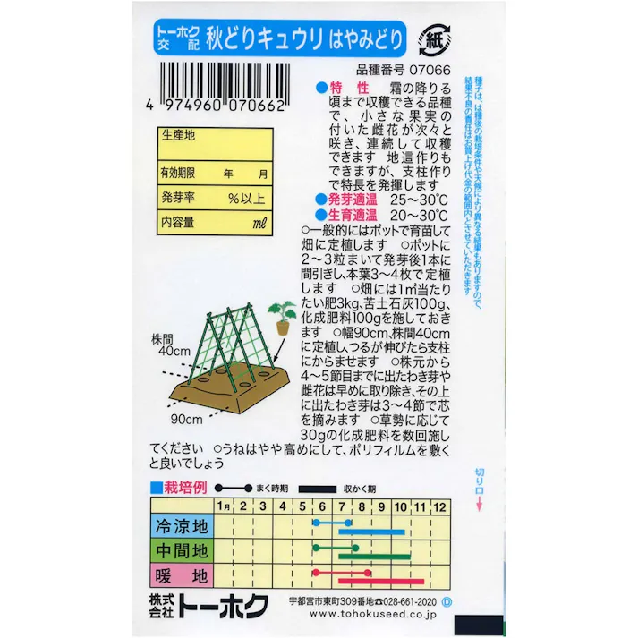 秋どりきゅうり はやみどり