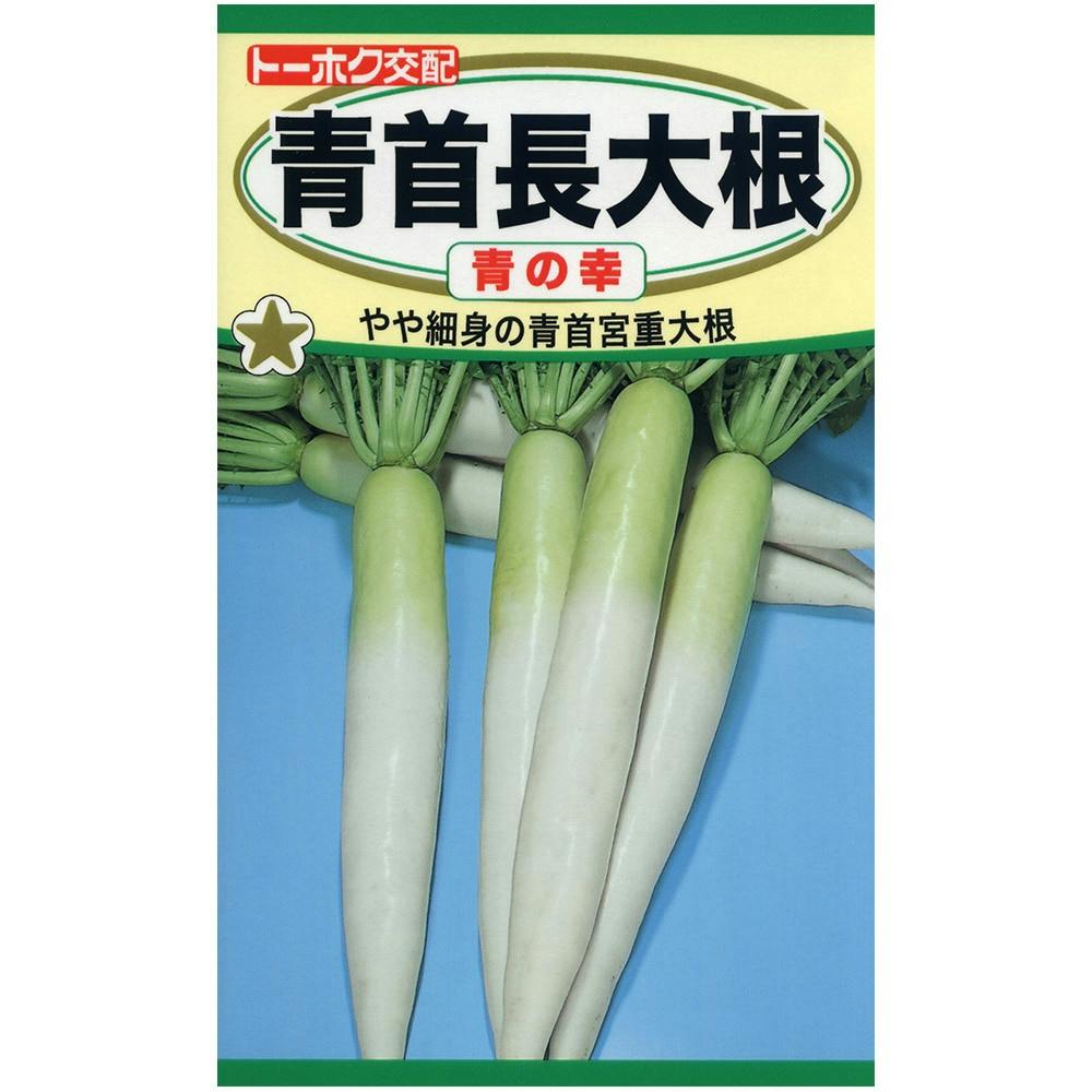 大根のえ トキタ種苗 ダイコン種子 桜島大根【取り寄せ注文】＊種子有効期限2026