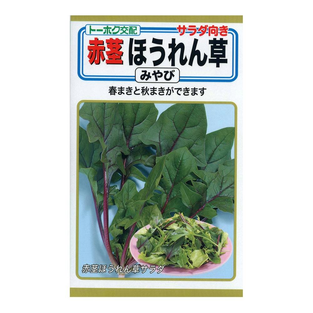 F1 赤茎ほうれん草 みやび | 花＆グリーン 通販