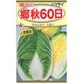 トーホク F1 耐病郷秋 60日白菜(販売終了)