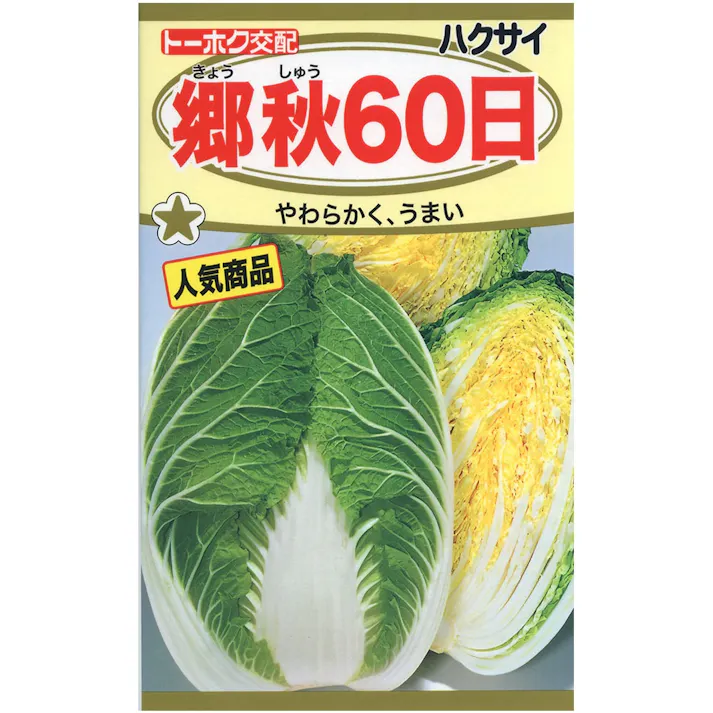 F1 郷秋 60日白菜
