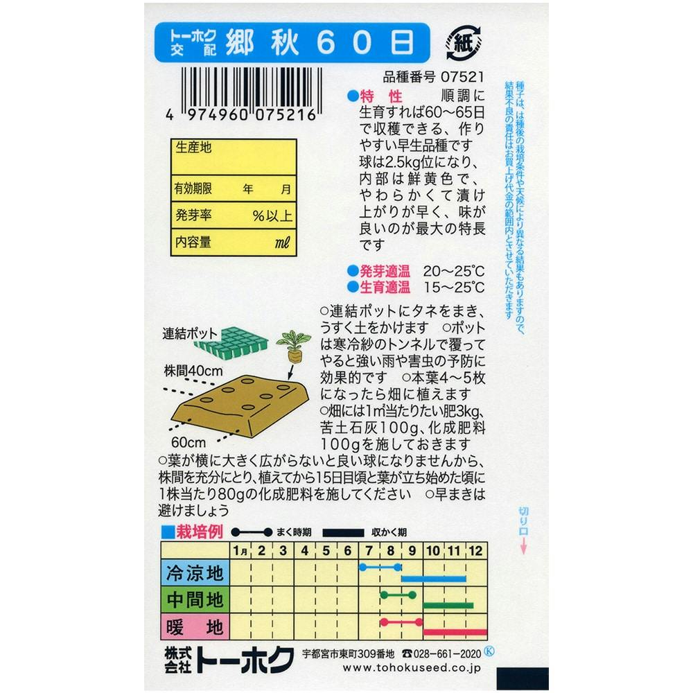 白菜 F1 耐病郷秋 60日白菜 | 花＆グリーン 通販 | ホームセンターの