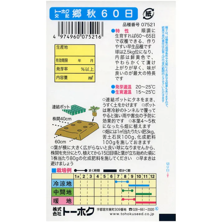F1 郷秋 60日白菜