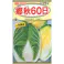 F1 郷秋 60日白菜