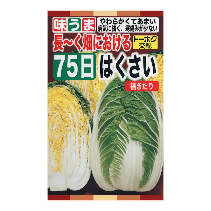 F1 75日白菜 福きたり